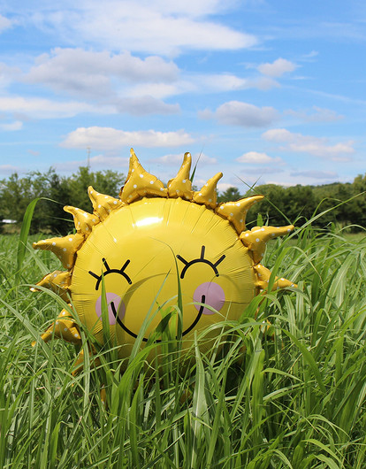 Девам крупно повезет, а Козерогов ждет романтика: гороскоп для всех знаков зодиака с 16 по 22 августа