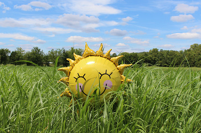 Девам крупно повезет, а Козерогов ждет романтика: гороскоп для всех знаков зодиака с 16 по 22 августа