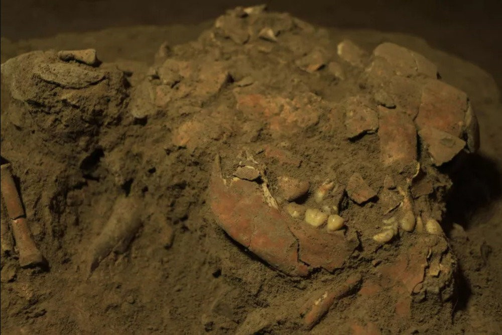 Ученые нашли неизвестный вид древнего человека во время раскопок в Индонезии