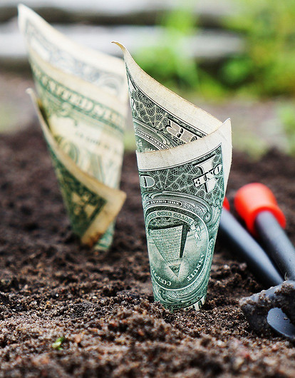 Тельцам нужно разобраться со своими вкладами, а Весам — научиться расслабляться: карьерный гороскоп на сентябрь 2021 года