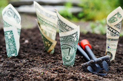 Тельцам нужно разобраться со своими вкладами, а Весам — научиться расслабляться: карьерный гороскоп на сентябрь 2021 года