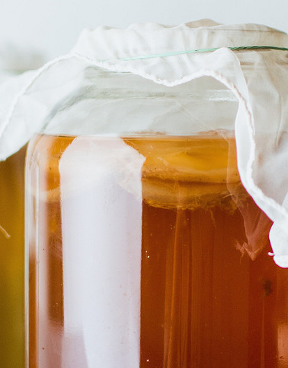 Не «что-то скользкое в банке», а комбуча: 7 причин завести на кухне чайный гриб