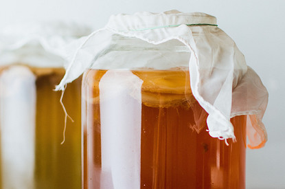 Не «что-то скользкое в банке», а комбуча: 7 причин завести на кухне чайный гриб