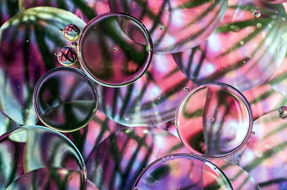 «Как это без трансжиров?»: 7 мифов о пальмовом масле, которые давно пора развеять