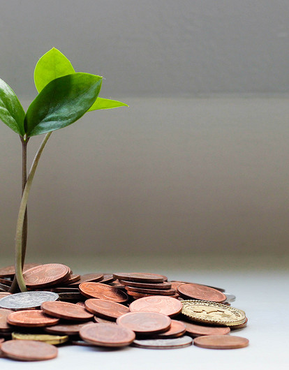 От звонка Вовану до мытья ног в унитазе: 7 странных ритуалов, которые делают для привлечения любви и денег