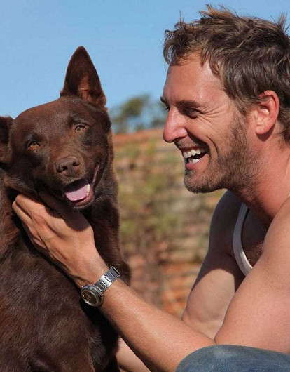 10 лучших фильмов про животных, основанных на реальных событиях (видео)