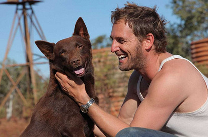 10 лучших фильмов про животных, основанных на реальных событиях (видео)