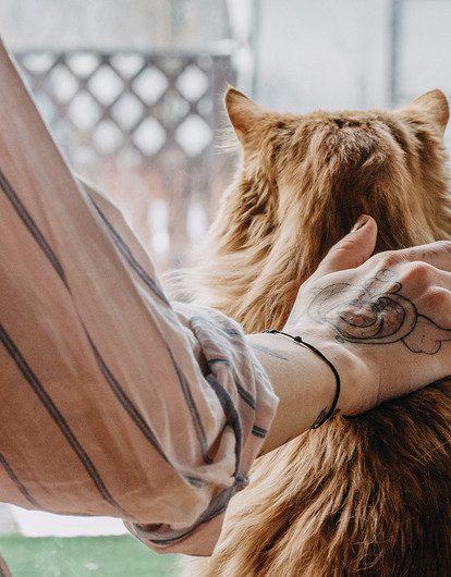 Как подготовить дачный домик к зиме: 10 важных дел, про которые многие забывают