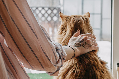 Как подготовить дачный домик к зиме: 10 важных дел, про которые многие забывают