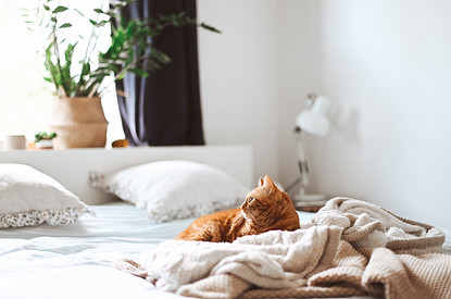 Осенний шопинг: 10 классных и недорогих вещей, которые сделают дом уютнее