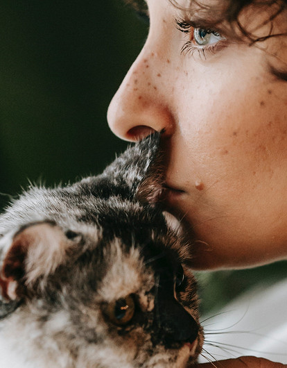 Ну и пусть ест: 7 комнатных растений, которые безопасны для домашних животных