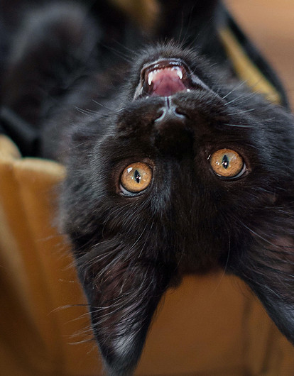 «Замуж не выйдешь»: 7 самых нелепых примет, в которые до сих пор верят