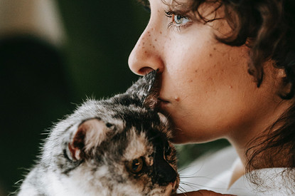 Ну и пусть ест: 7 комнатных растений, которые безопасны для домашних животных