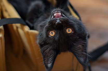 «Замуж не выйдешь»: 7 самых нелепых примет, в которые до сих пор верят