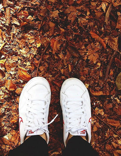 Овнам пора познакомиться с гомеопатией, а Львам — сходить к гинекологу: ЗОЖ-гороскоп на октябрь для всех знаков зодиака