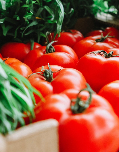 Когда сажать будем: лунный календарь огородника на 2022 год