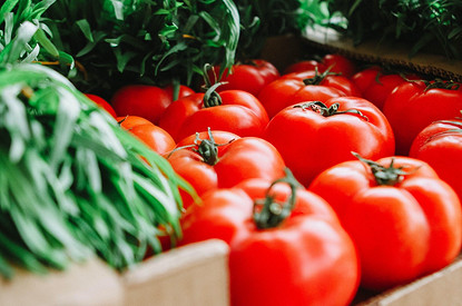 Когда сажать будем: лунный календарь огородника на 2022 год