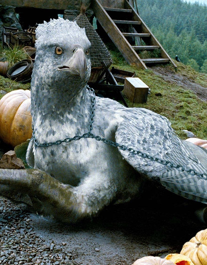 Тест дня: какое ты волшебное существо из Гарри Поттера