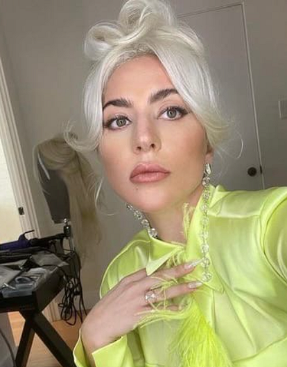 Леди Гага появилась на публике в эффектном образе