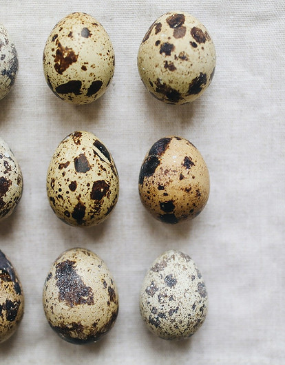 Сколько по времени нужно варить перепелиные яйца