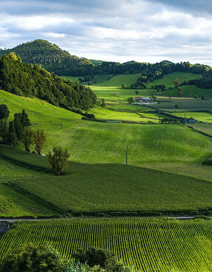 Межевание участка: кому и зачем это нужно, как правильно оформить