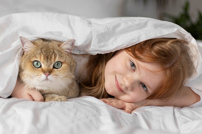Ласковые и ручные: 7 пород кошек, которые хорошо ладят с детьми