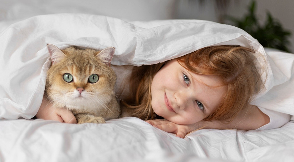 Ласковые и ручные: 7 пород кошек, которые хорошо ладят с детьми
