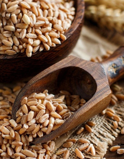 Полба: что это за крупа и как ее вкусно приготовить