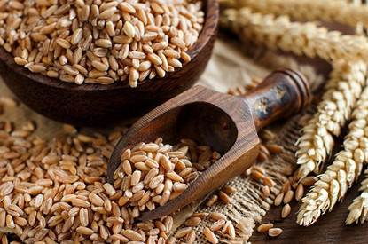 Полба: что это за крупа и как ее вкусно приготовить