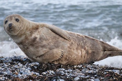 6 лучших мест Бурятии: буддийские дацаны, лежбища нерп, минеральные источники и не только