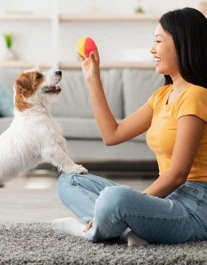 Маленькие собаки: 15 лучших пород для квартиры или дома с фотографиями и названиями