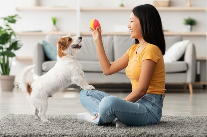 Маленькие собаки: 15 лучших пород для квартиры или дома с фотографиями и названиями