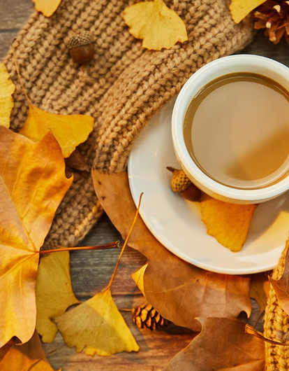 Осенний марафон — где взять силы: гороскоп для всех знаков зодиака с 21 по 27 ноября