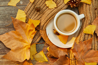 Осенний марафон — где взять силы: гороскоп для всех знаков зодиака с 21 по 27 ноября