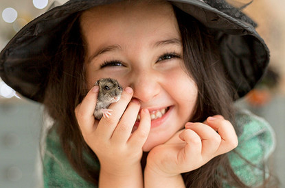 Джунгарский хомяк: что за зверь, как кормить и ухаживать