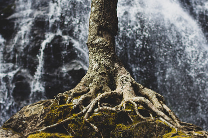 Заземление для новичков: 5 способов восполнить энергию после магических ритуалов