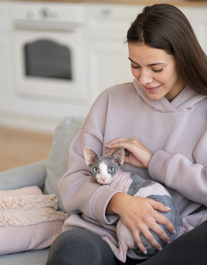 Собачье сердце: 7 пород кошек, которые отличаются преданностью
