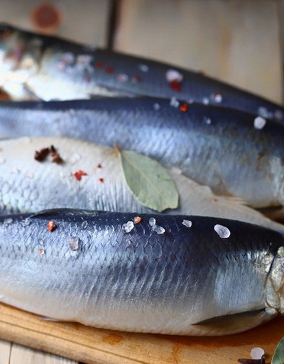 11 способов, как вкусно и просто засолить селедку в домашних условиях