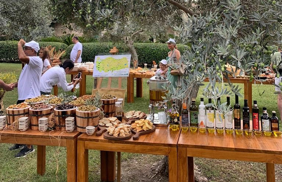 Каждый год в Белеке, на территории Ela Excellence Resort Belek проходит оливковый фестиваль. Это настоящее гастрономическое приключение в мире оливок!