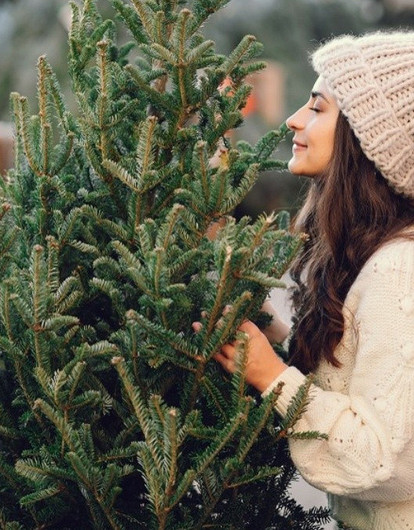 7 советов, которые помогут выбрать живую новогоднюю елку