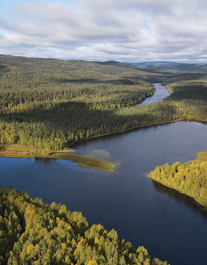 Петроглифы, которые старше Египетских пирамид, и сыр моцарелла: факты о Карелии, о которых мало кто знает