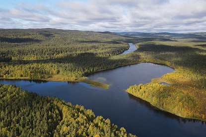 Петроглифы, которые старше Египетских пирамид, и сыр моцарелла: факты о Карелии, о которых мало кто знает