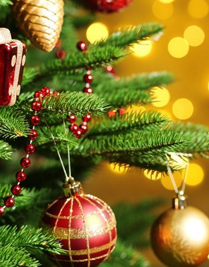 Елки-палки: 5 причин, почему твое новогоднее дерево выглядит безвкусно