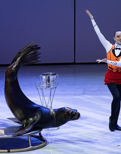 11 идей, чем заняться на зимних каникулах