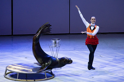 11 идей, чем заняться на зимних каникулах