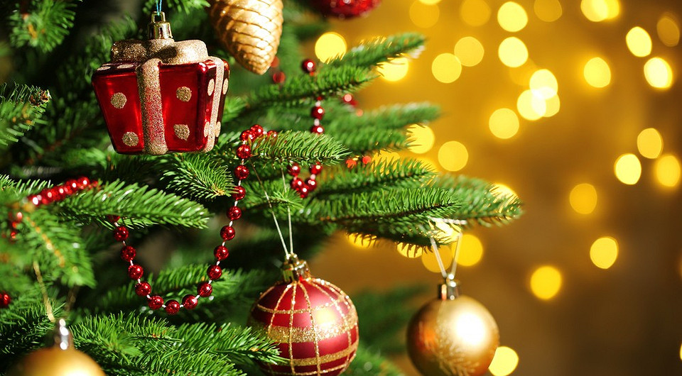Елки-палки: 5 причин, почему твое новогоднее дерево выглядит безвкусно