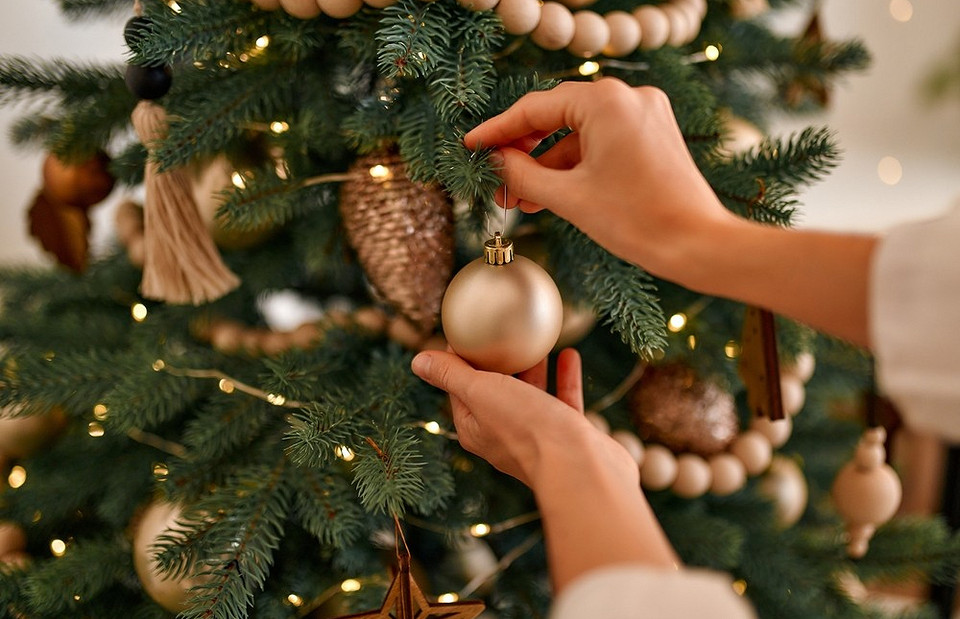 Чтобы не осыпалась: 7 советов, как правильно ухаживать за новогодней елкой