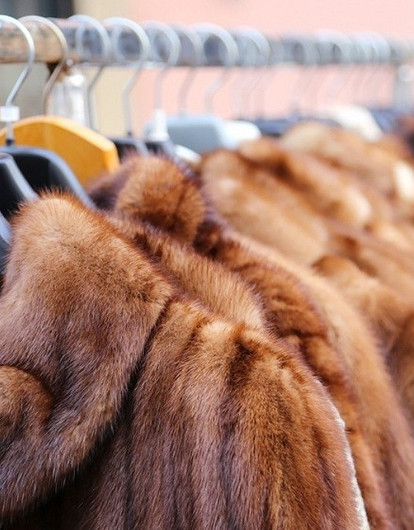 Как почистить шубу в домашних условиях: 6 бережных способов, которые не испортят мех