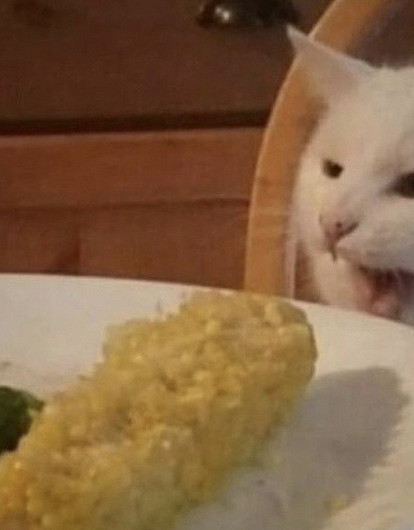 «Пока определимся, вся еда уже остынет»: герои статьи рассказали о своей зависимости от видео во время еды