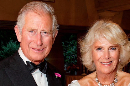 Жена принца Чарльза Камилла Паркер-Боулз заразилась коронавирусом